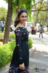 Rakul Preet Singh at Sarrainodu Movie Release Press Meet